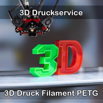 Schöneck (Hessen) 3D-Druckservice