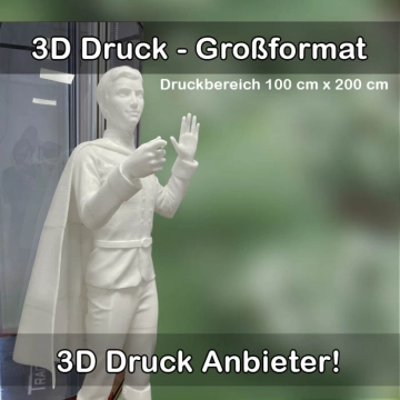 3D-Druckservice für Großformat 3D Drucke 