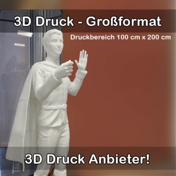 3D-Druckservice für Großformat 3D Drucke 