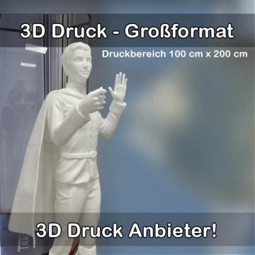 3D-Druckservice für Großformat 3D Drucke 