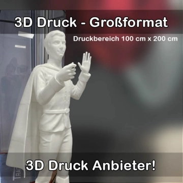 3D-Druckservice für Großformat 3D Drucke 