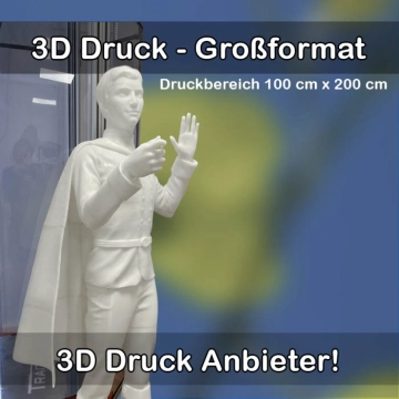 3D-Druckservice für Großformat 3D Drucke 