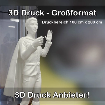 3D-Druckservice für Großformat 3D Drucke 