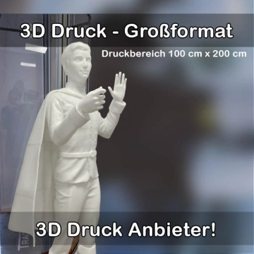 3D-Druckservice für Großformat 3D Drucke 