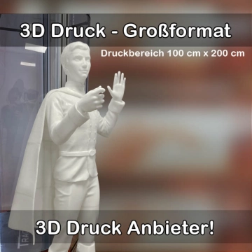 3D-Druckservice für Großformat 3D Drucke 